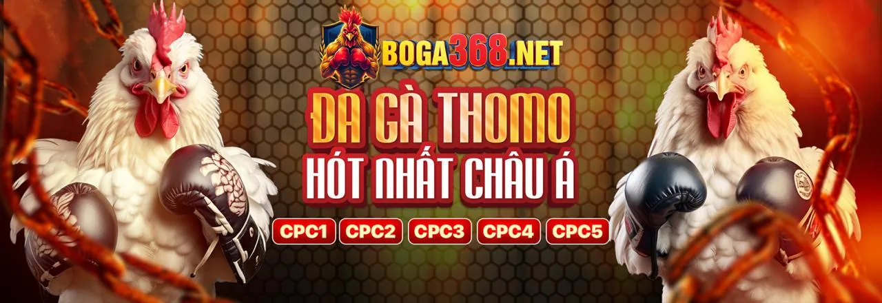 Đá gà trực tuyến Wim55 Đăng Nhập với các trận đấu hấp dẫn
